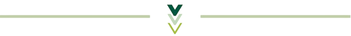 dividercustom 1