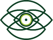 Double vision icon of four eyes merged together
